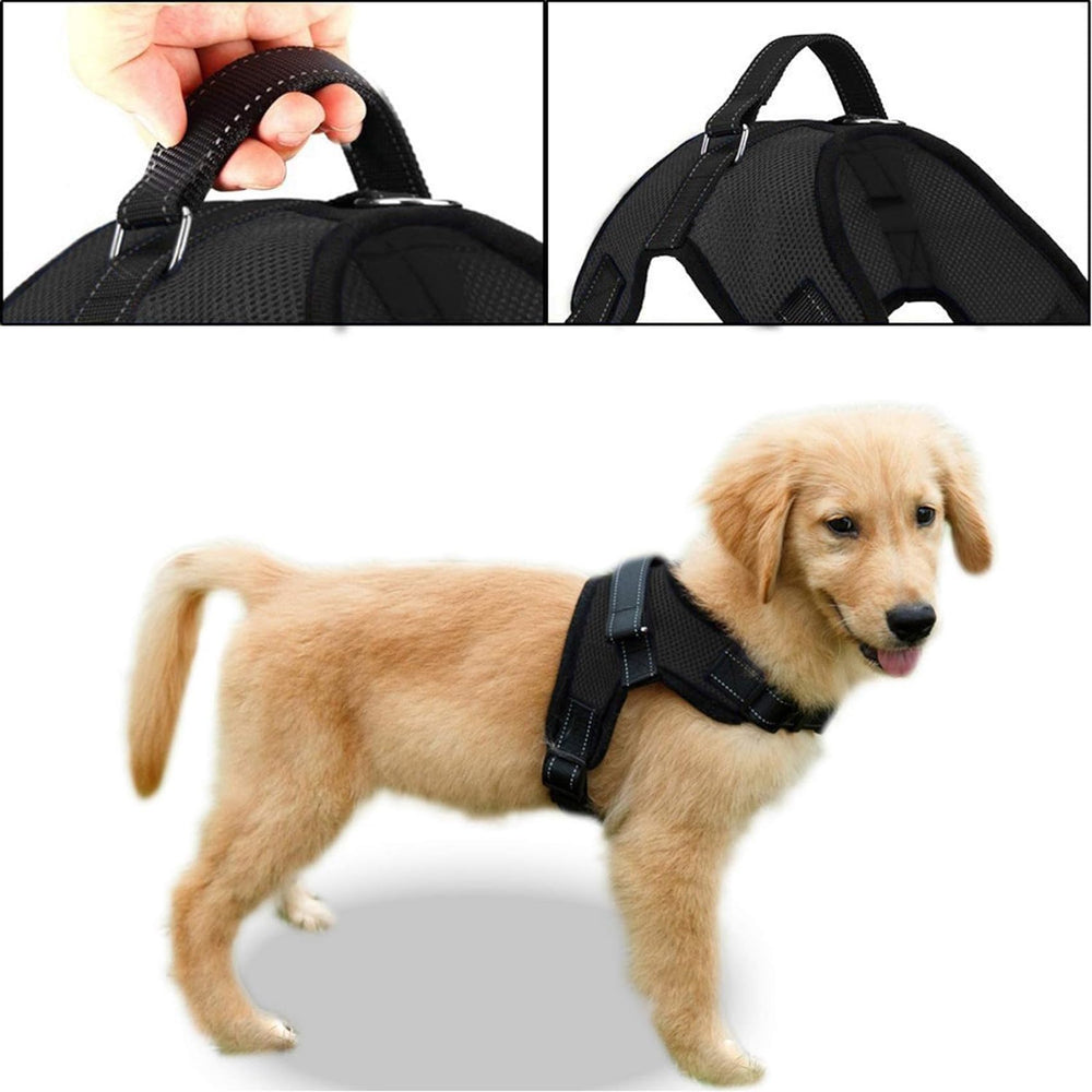 Harnais Copatchy adaptable à petites, moyennes et grandes tailles de chiens.