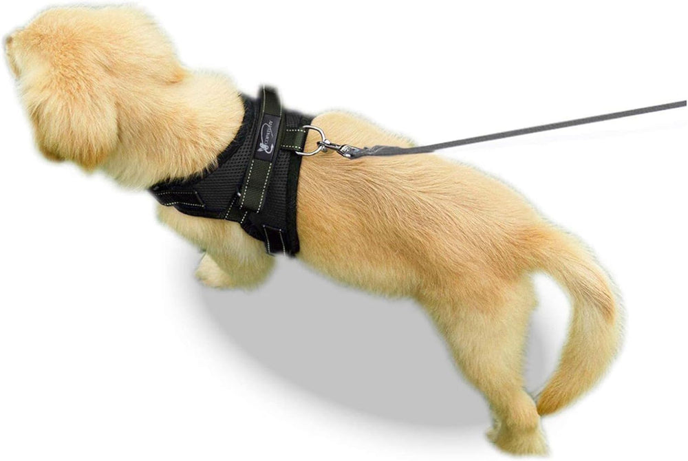 Guide de mesure Copatchy pour trouver la taille idéale.