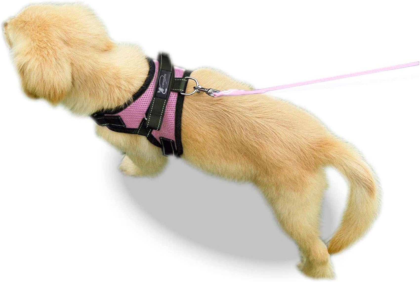 Copatchy harnais facile a nettoyer et leger pour chiens actifs.