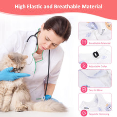 Coppthinktu Combinaison récupération chat femelle - arrière, protection et confort lors du repos.