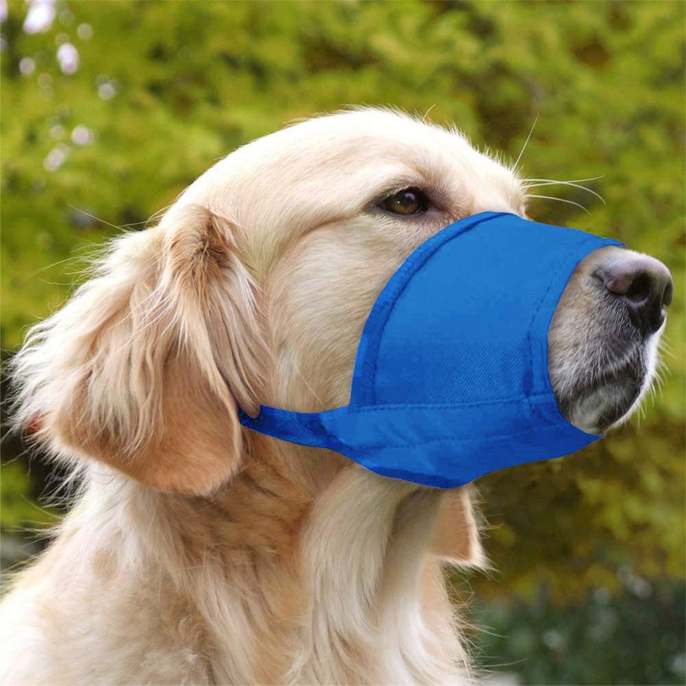 Coppthinktu museliere-chien Tailles diverses, tailles adaptées pour chaque chien