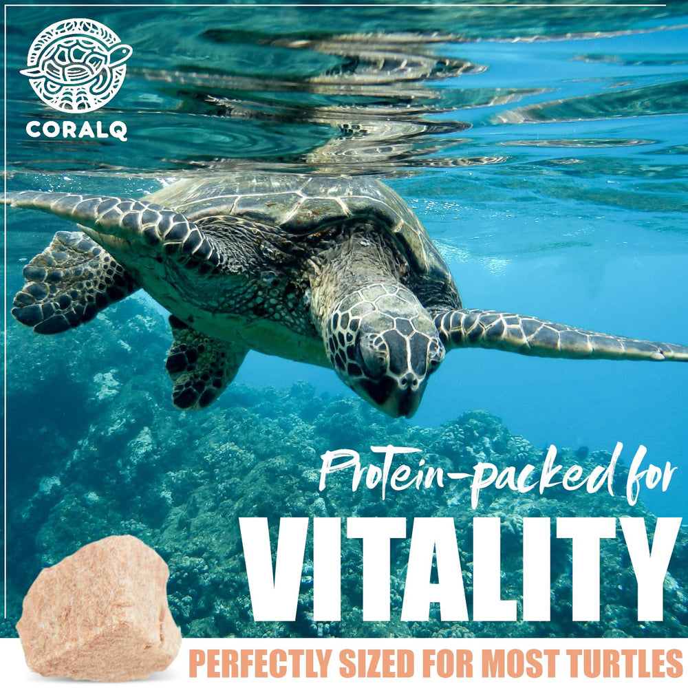 CoralQ tortue-ingredients-naturels-sans-additifs, sans conservateurs ni colorants artificiels.