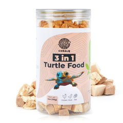 CoralQ tortue-nourriture-viande poulet-canard-poisson, protéines variées pour un repas équilibré.