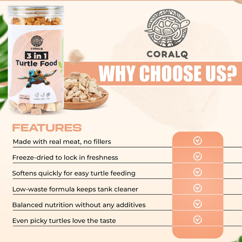 CoralQ tortue-nutrition-equilibre-systeme-immunitaire, formulation pour un développement harmonieux.