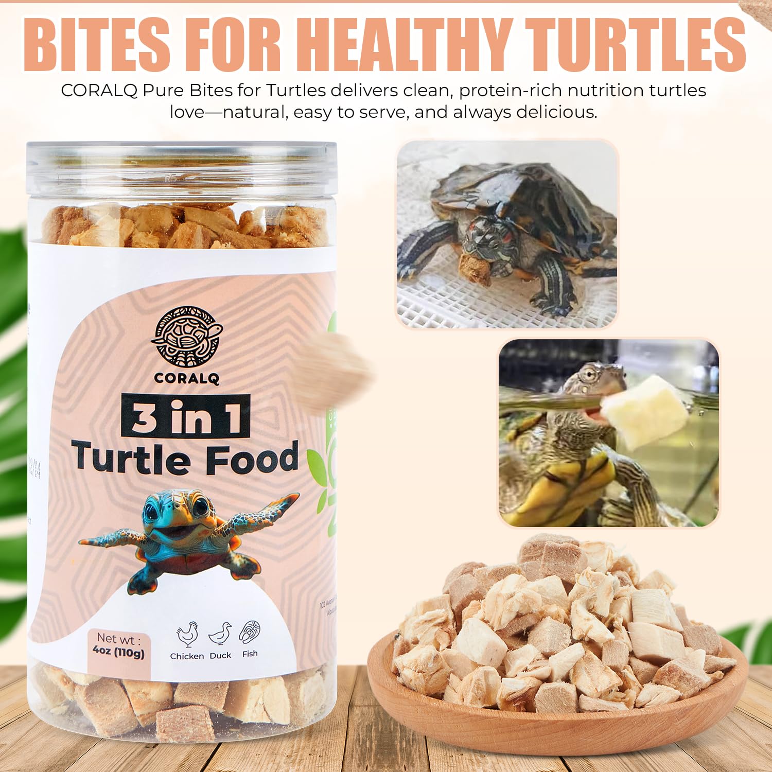 CoralQ tortue-proteine-3-en-1, trois sources riches qui soutiennent l'appétit et la croissance.