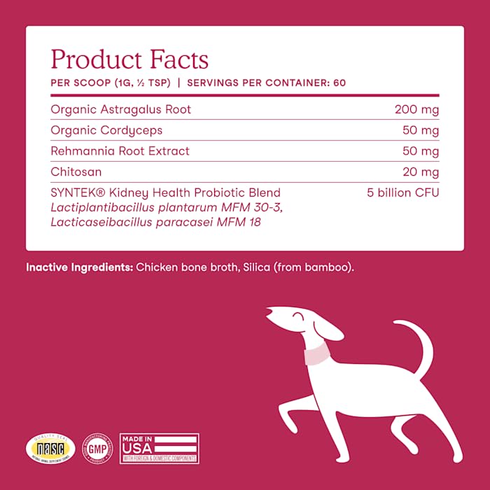 Cordyceps et astragale - soutien rénal naturel pour chiens actifs