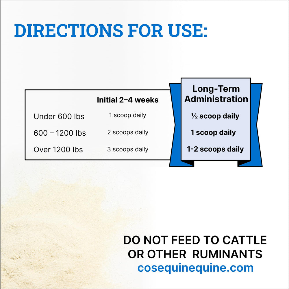 Nutramax Cosequin ASU – articulation du cheval, soutien potentiel lors d'entraînements.