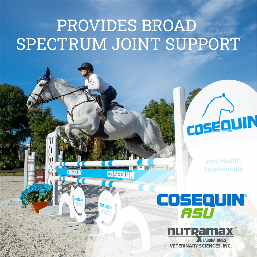 Cosequin ASU poudre avocat-soja: formule ASU pour la flexibilité articulaire.