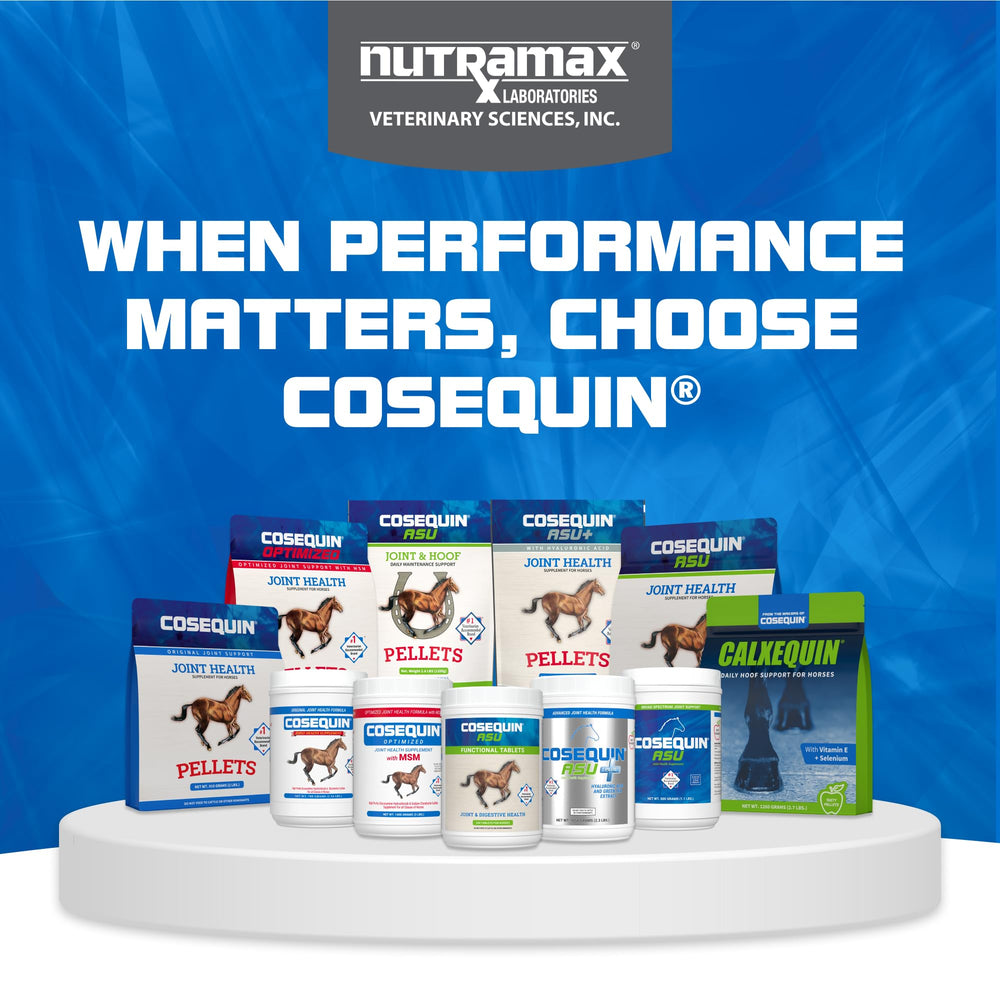 Nutramax Cosequin ASU – poudre facile à doser, mélange dans l’alimentation.