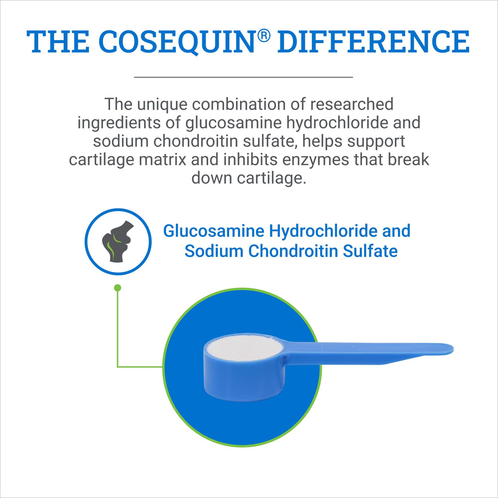Cosequin Original glucosamine-chondroïtine-poudre : ingrédients clés pour le cartilage.