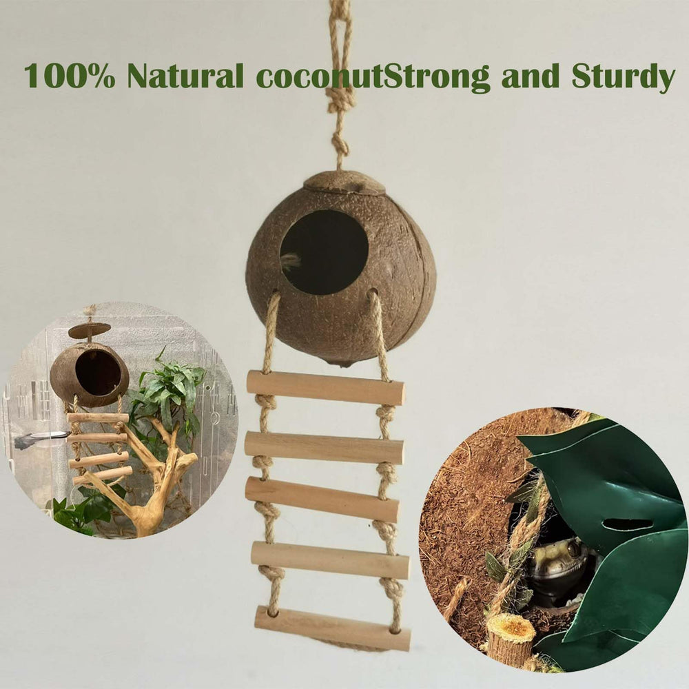COSOC plante suspendue, décor vivant et ombre légère pour terrarium.