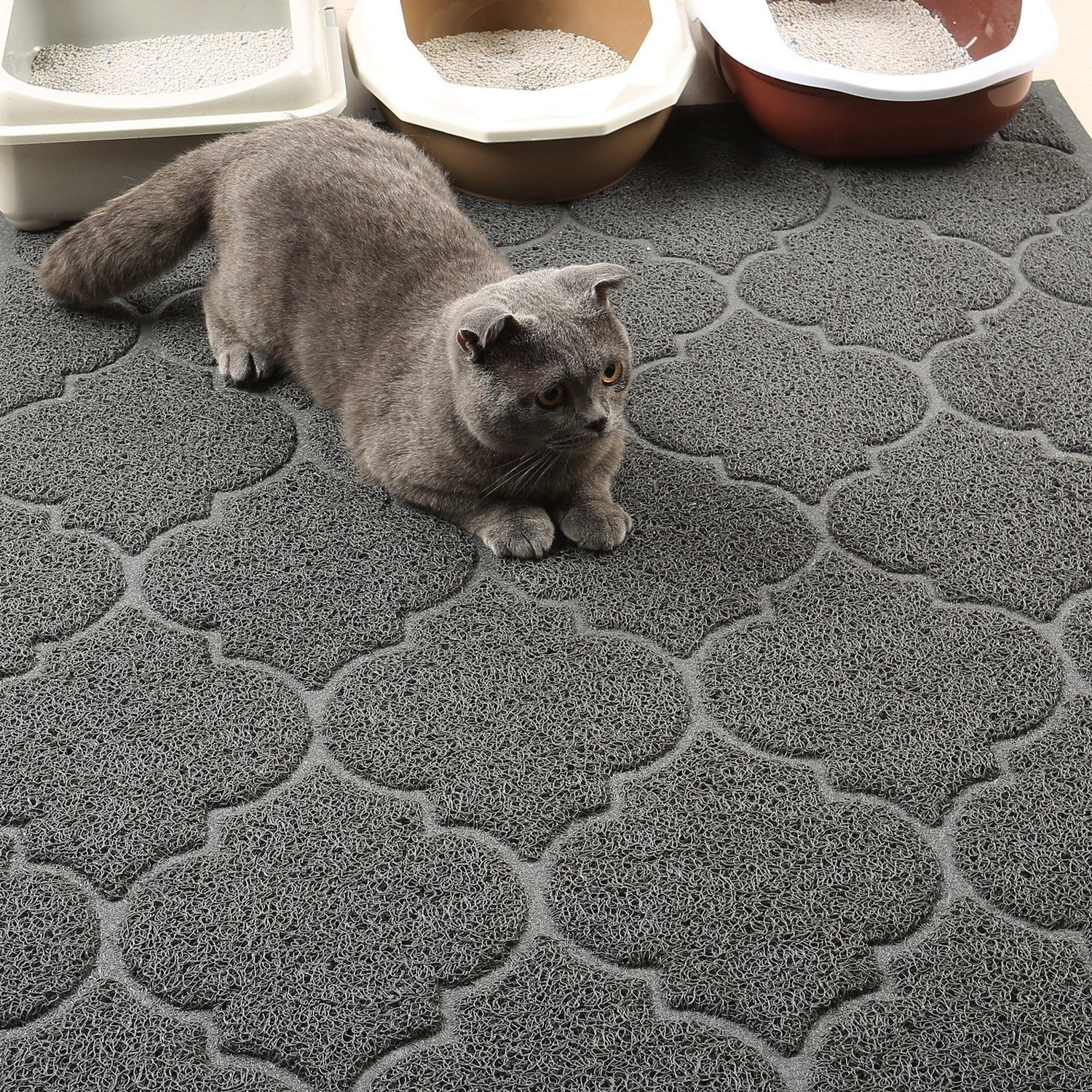 Cosyearn LittleTiger XL, dimensions 46x35 pouces offrent un grand espace.
