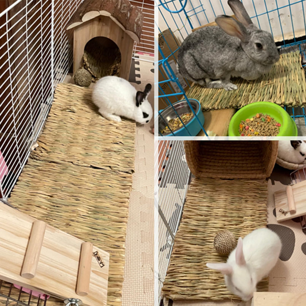 Usage polyvalent pour petits animaux avec tapis d'herbe COTELEEC.