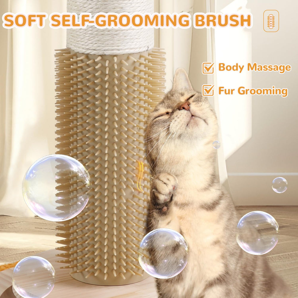 COUNER Brosse intégrée pour grooming facile des chats.