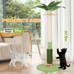 COUNER base stable de 15,7 pouces assure la sécurité du chat.