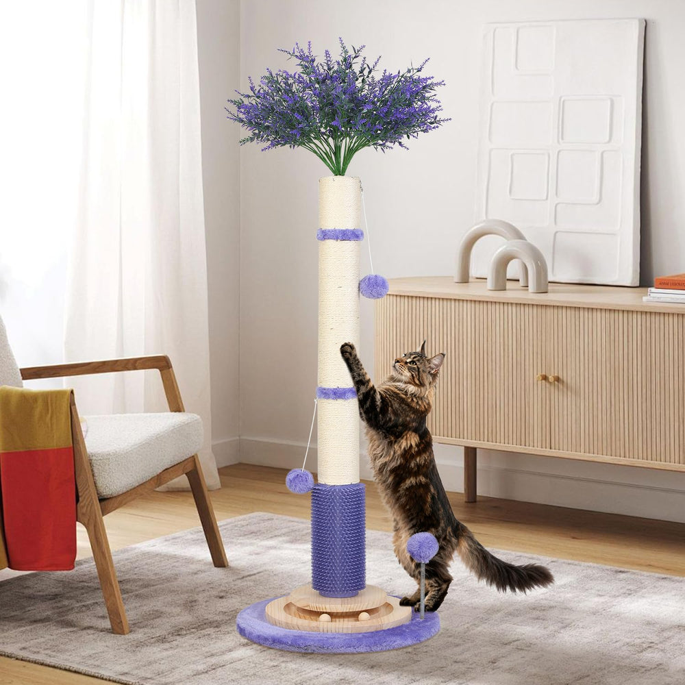 COUNER design violet décoratif qui plaît aux chats