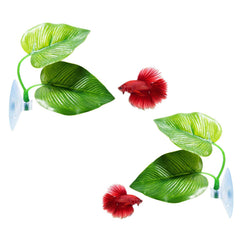 CousDUoBe Feuille hamac betta ensemble offre repos naturel dans l’aquarium.