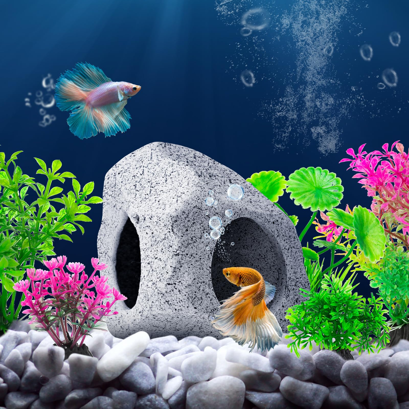 CousDUoBe déco eau douce et mer: compatible avec différents biotopes.