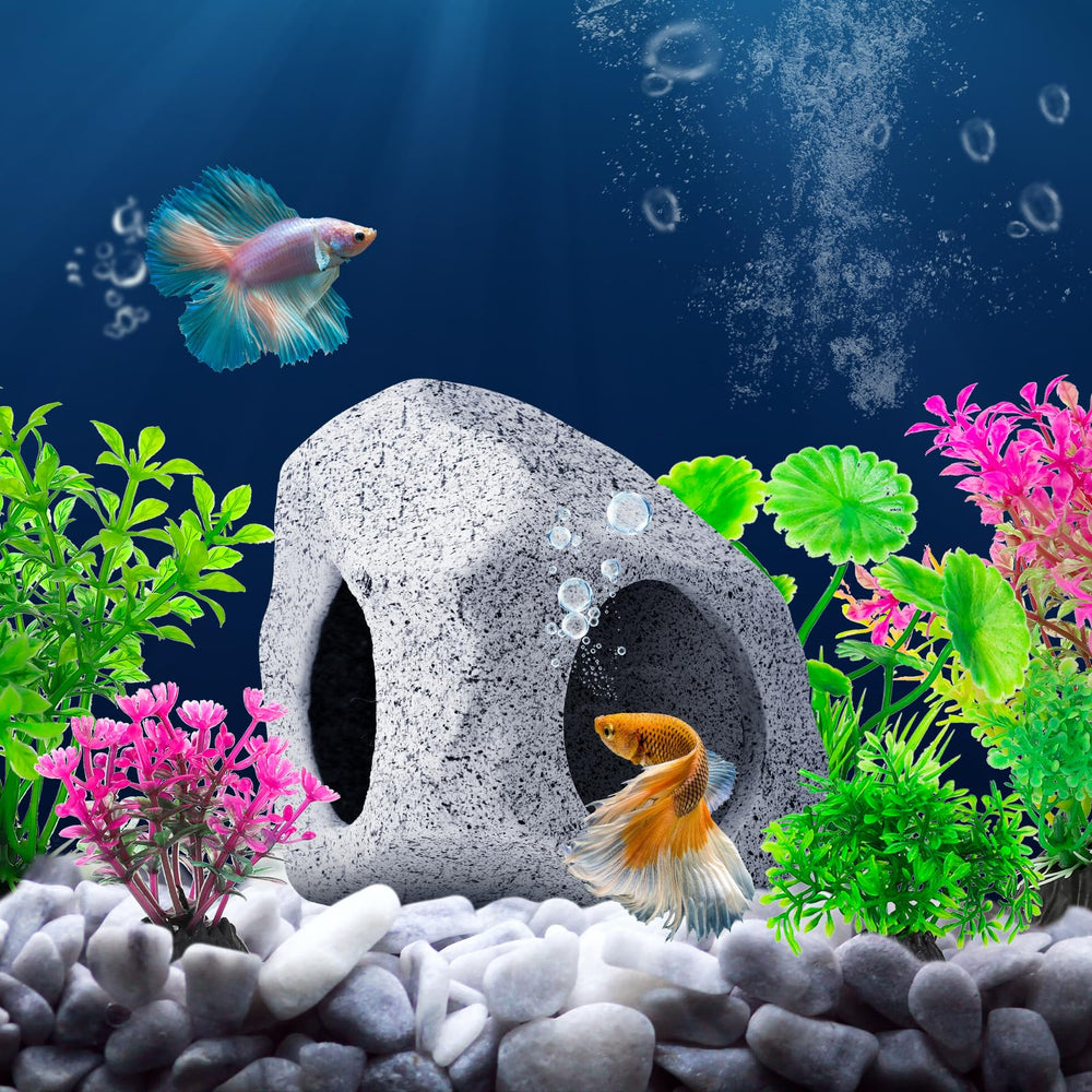 CousDUoBe déco eau douce et mer: compatible avec différents biotopes.