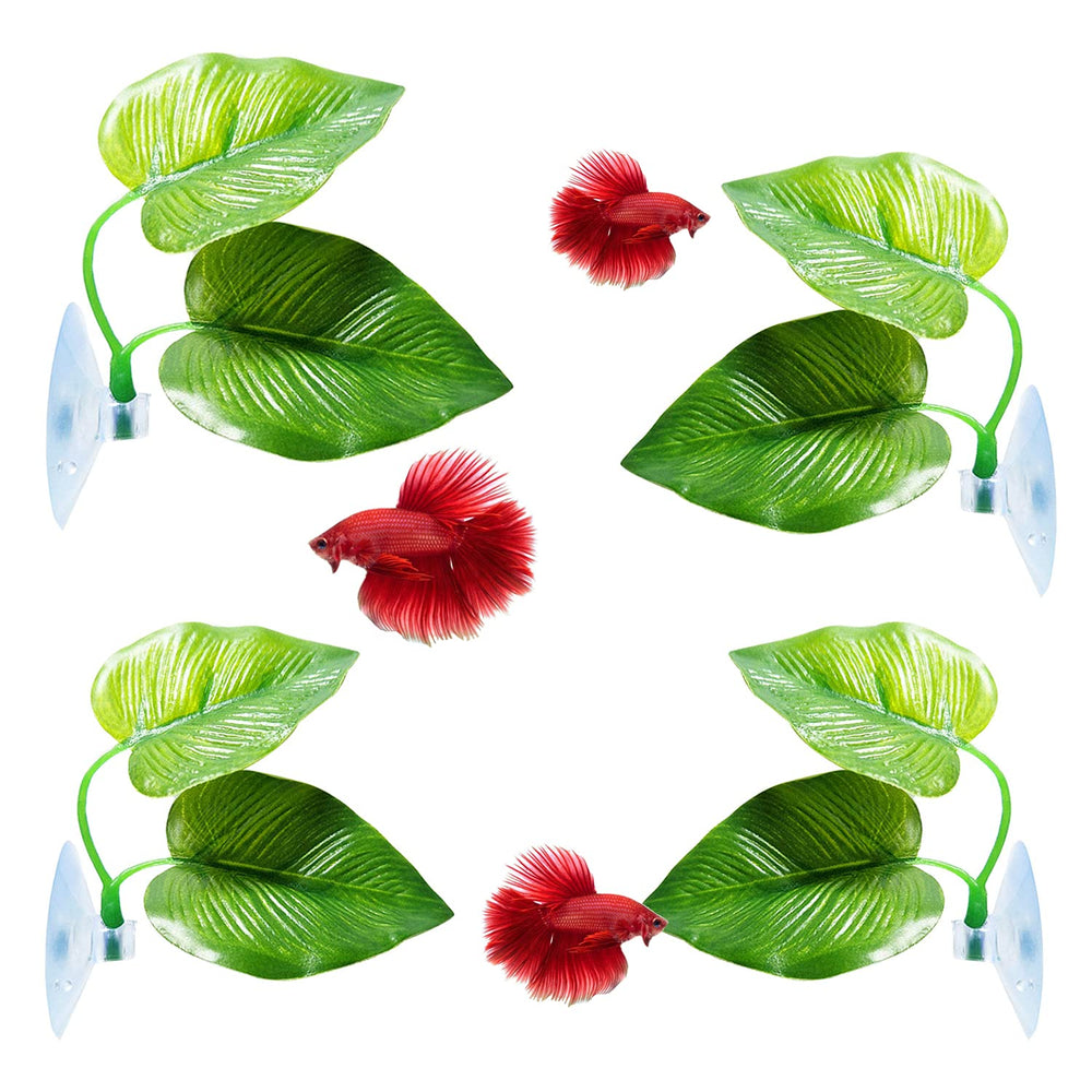 CousDUoBe feuille betta double-design, espace repos naturel.