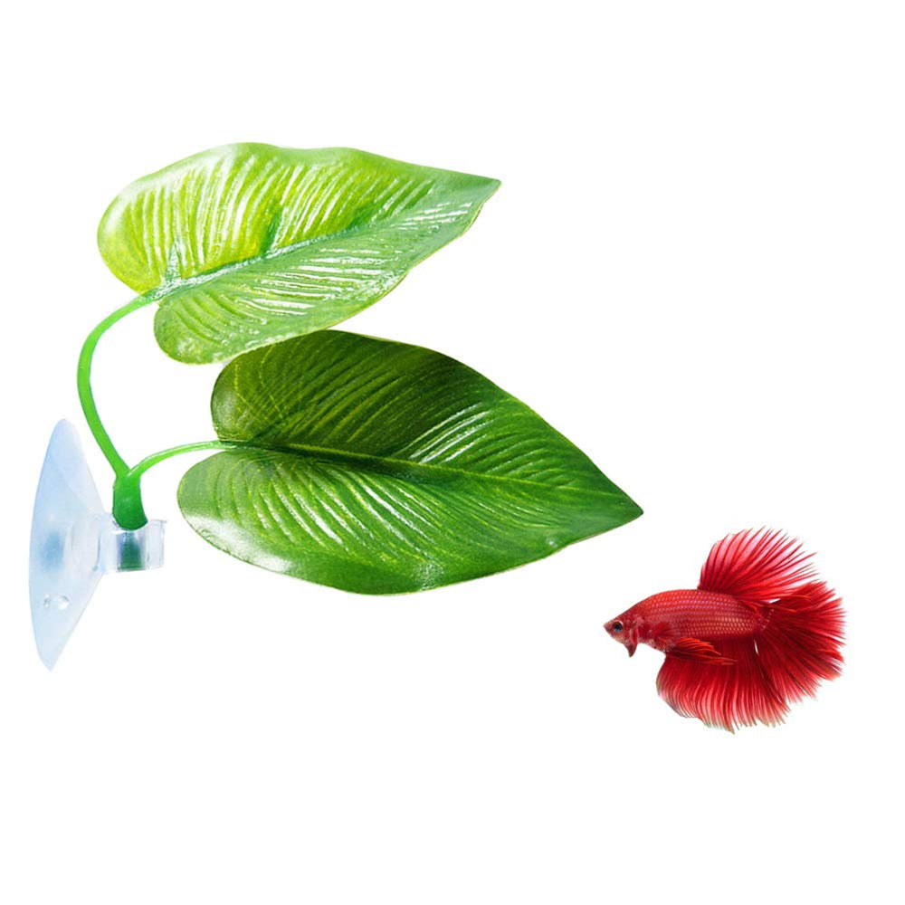 CousDUoBe feuille-betta-hamac-gros: repos naturel et sûr pour Betta.