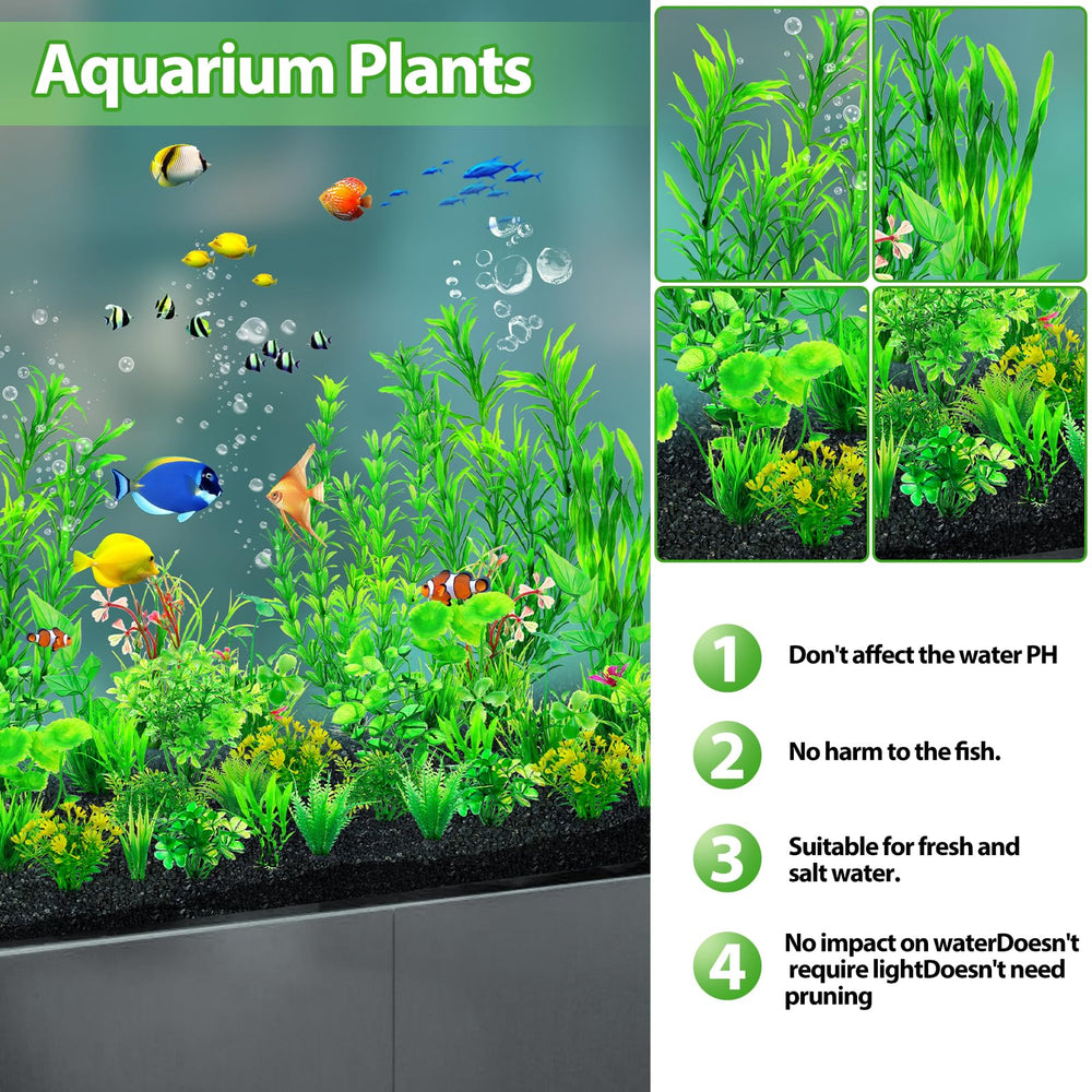 CousDUoBe plantes sans éclairage nécessaire pour un entretien simple.