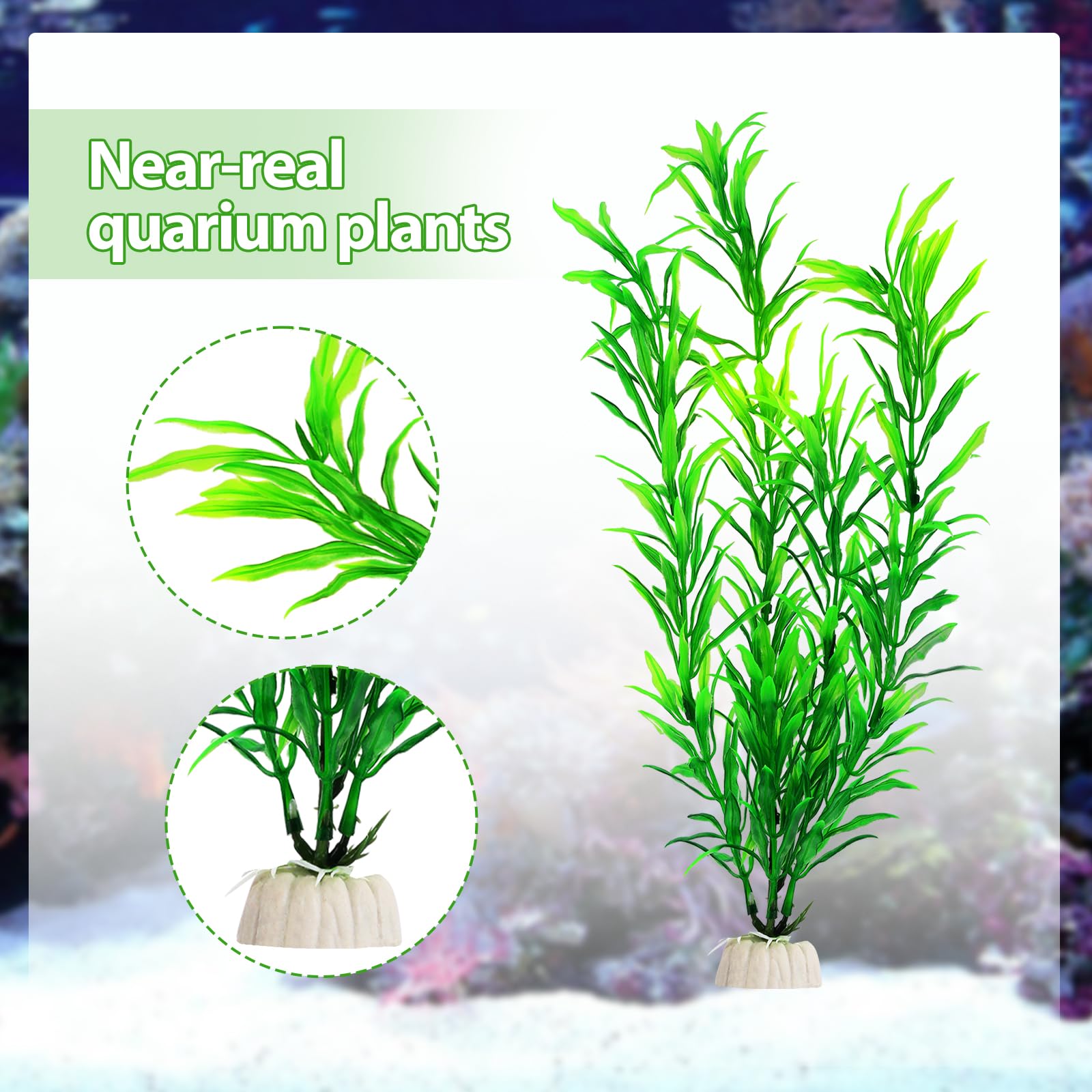 CousDUoBe utilisation polyvalente pour aquariums variés et styles.