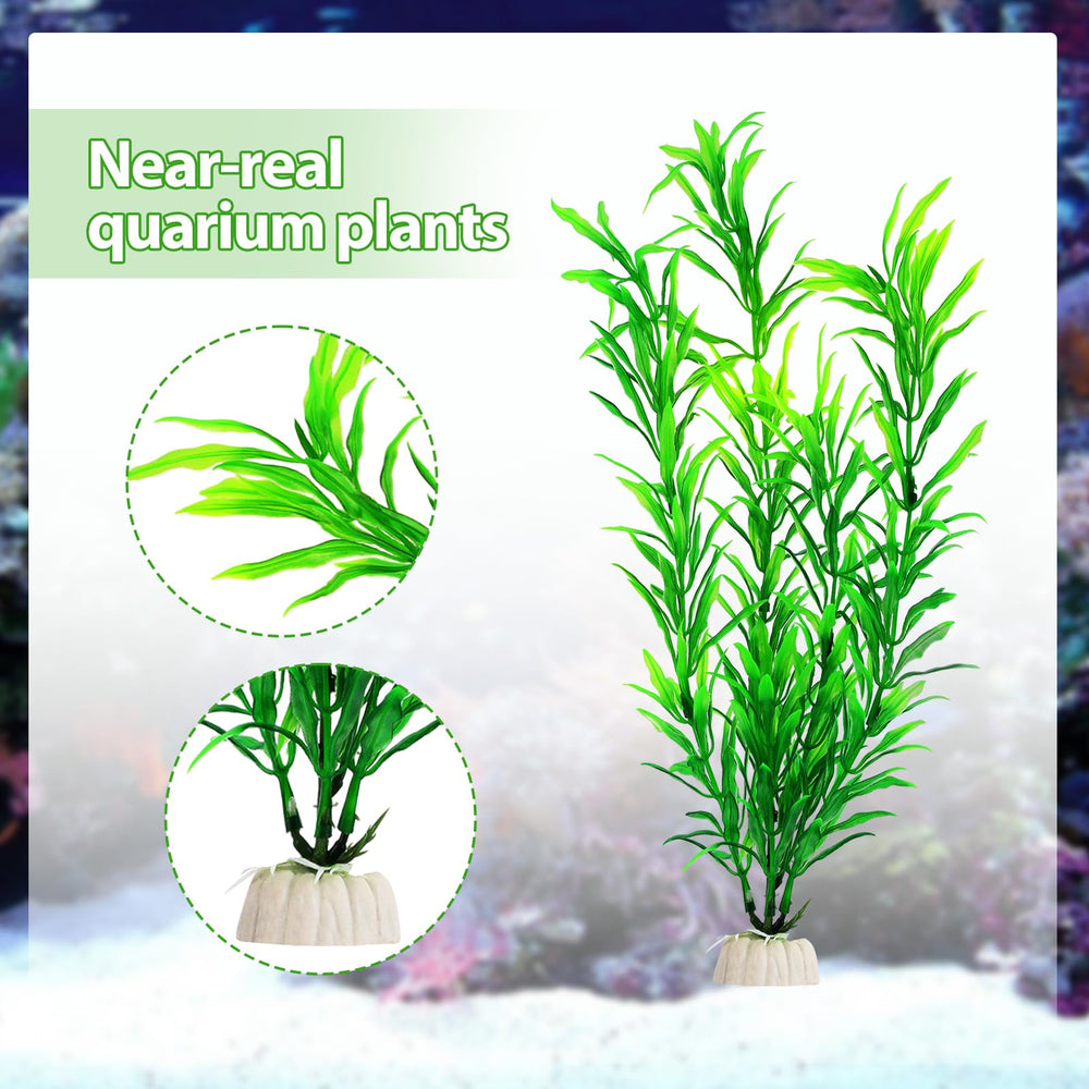 CousDUoBe utilisation polyvalente pour aquariums variés et styles.