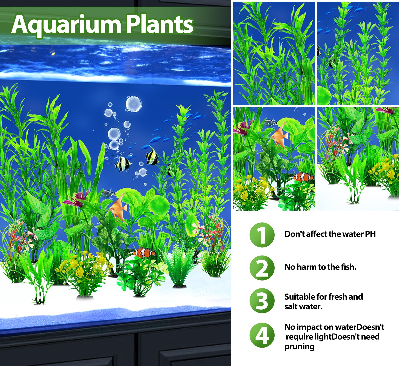 CousDUoBe – bases des plantes sur gravier, fixation simple.