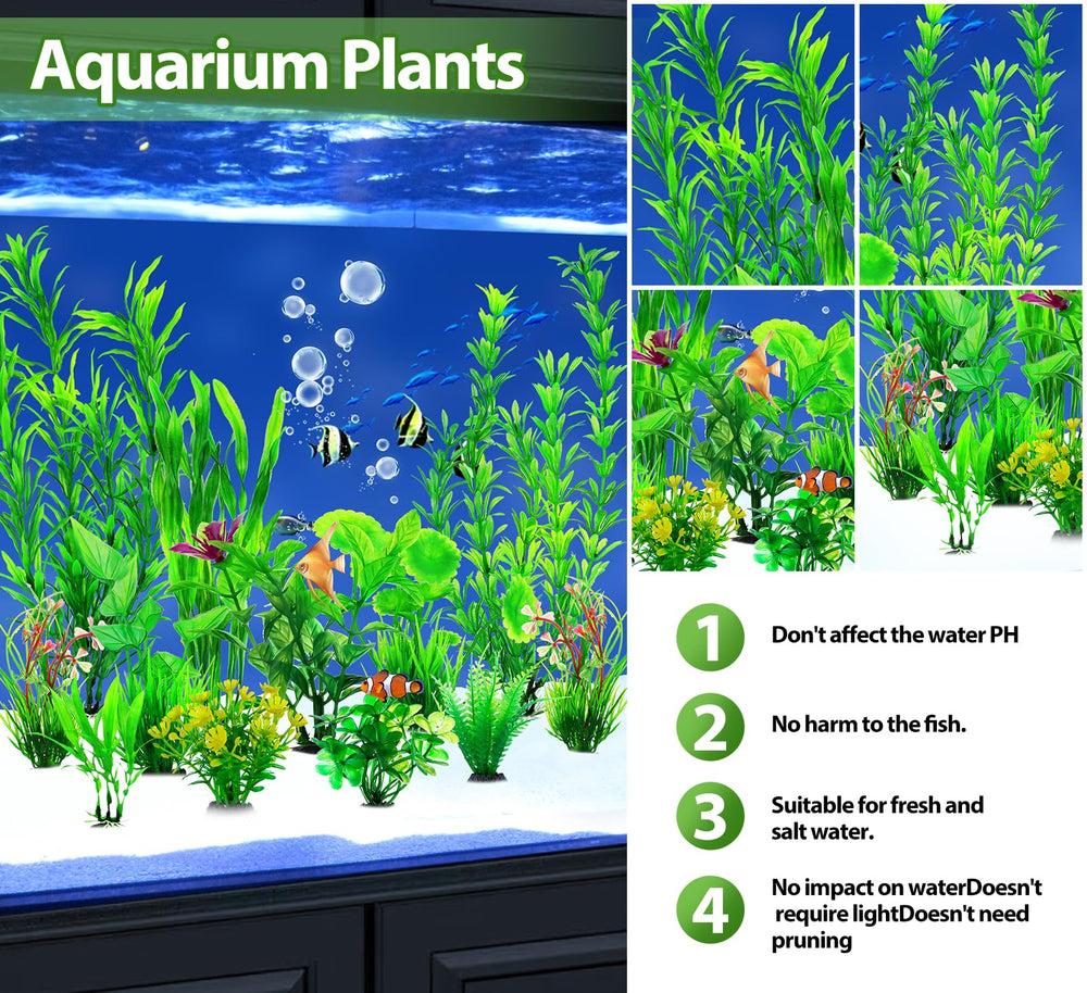 CousDUoBe – bases des plantes sur gravier, fixation simple.