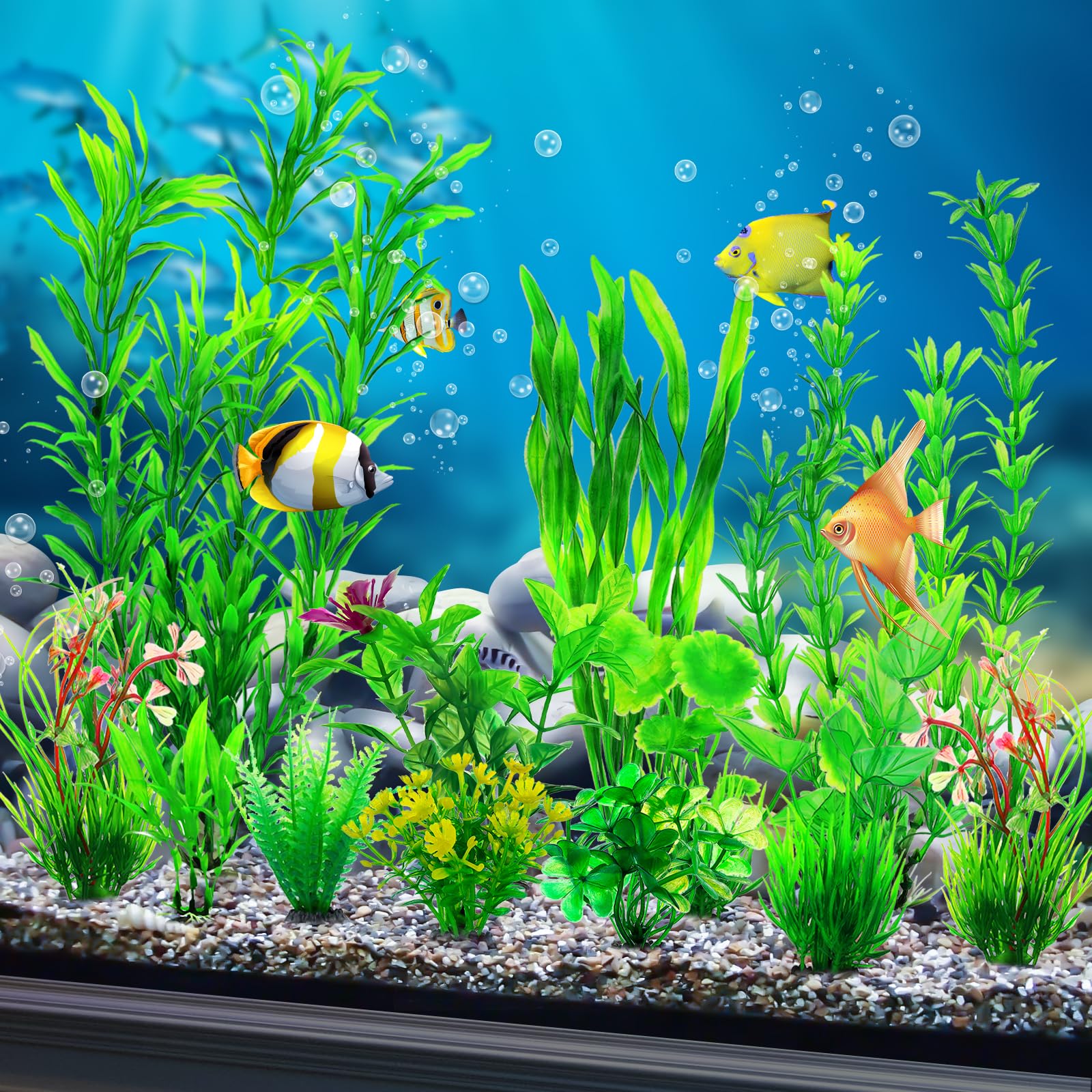 CousDUoBe – plantes d'aquarium vertes vue arrière, ambiance naturelle.