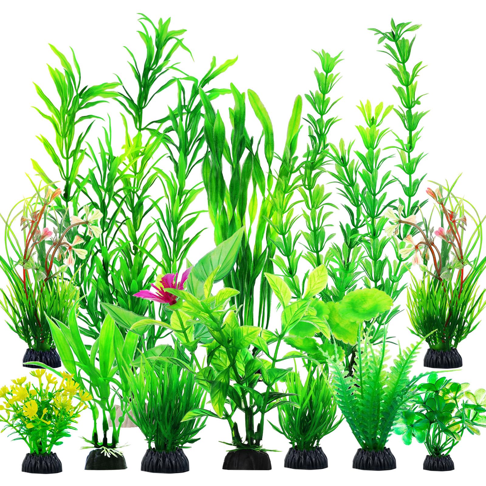 CousDUoBe – plantes d'aquarium vertes, vue générale, décor naturel et sans entretien.