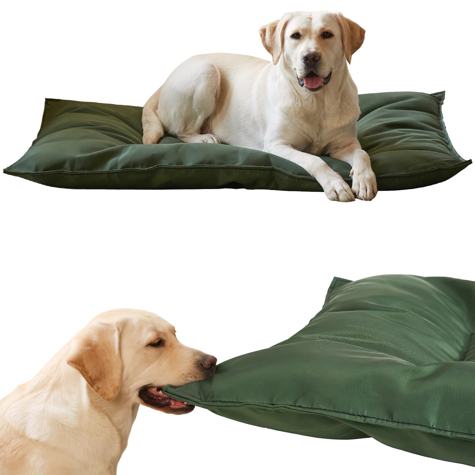Le lit Couzssyhi lit-chien-indestructible, robuste et confortable pour les chiens mordilleurs.
