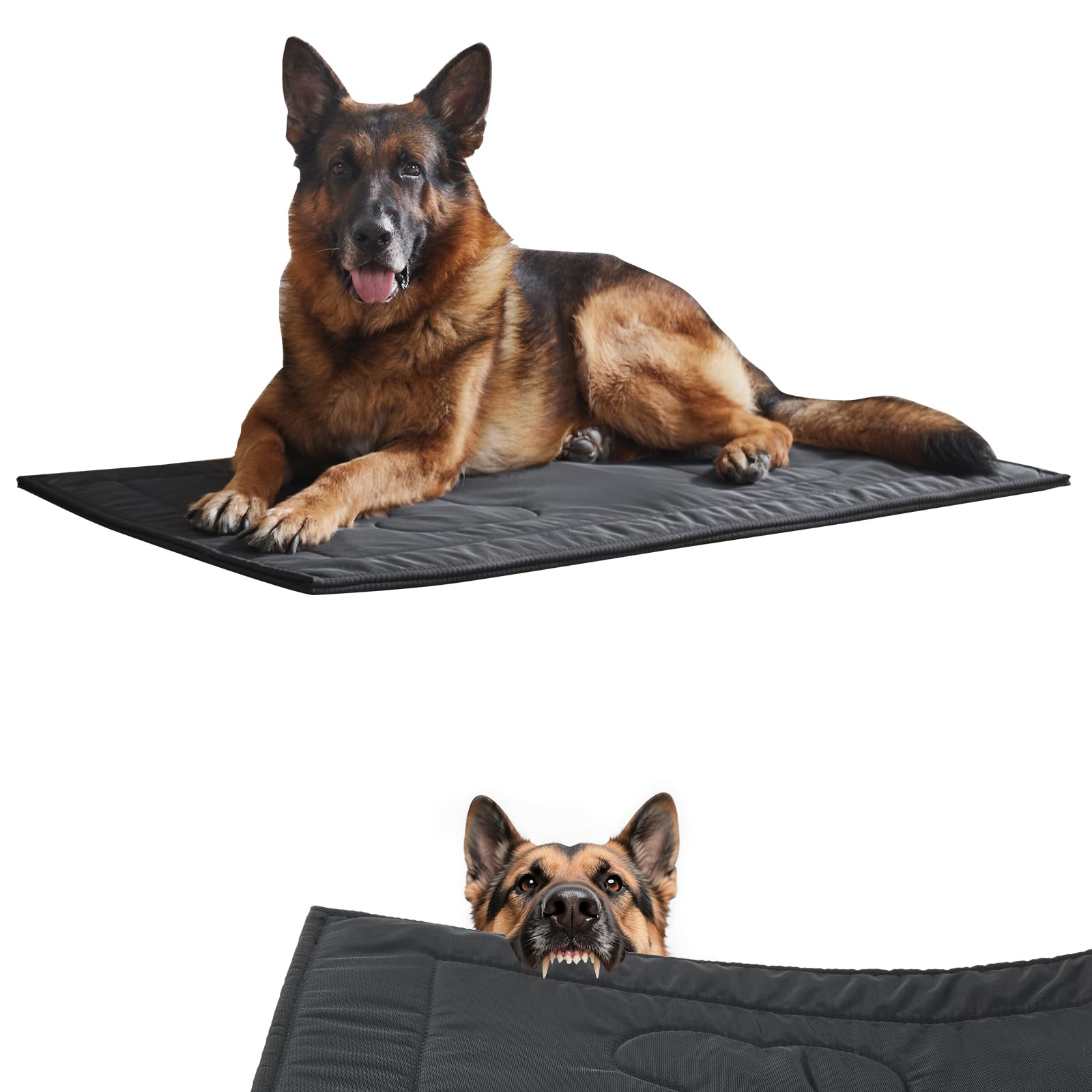 Couzssyhi Tapis anti-mordillage : surface résistante, idéal pour chiens agressifs et mordilleurs.