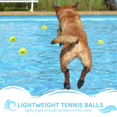 covgopi balle tennis chien flotte sur l'eau, jeu et récupération