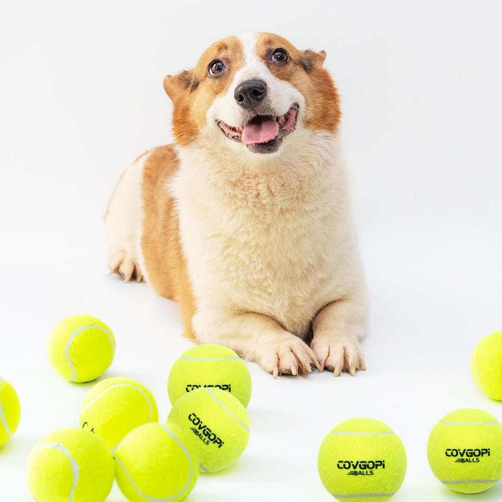 covgopi balle tennis chien usage intérieur extérieur, divertissement sûr