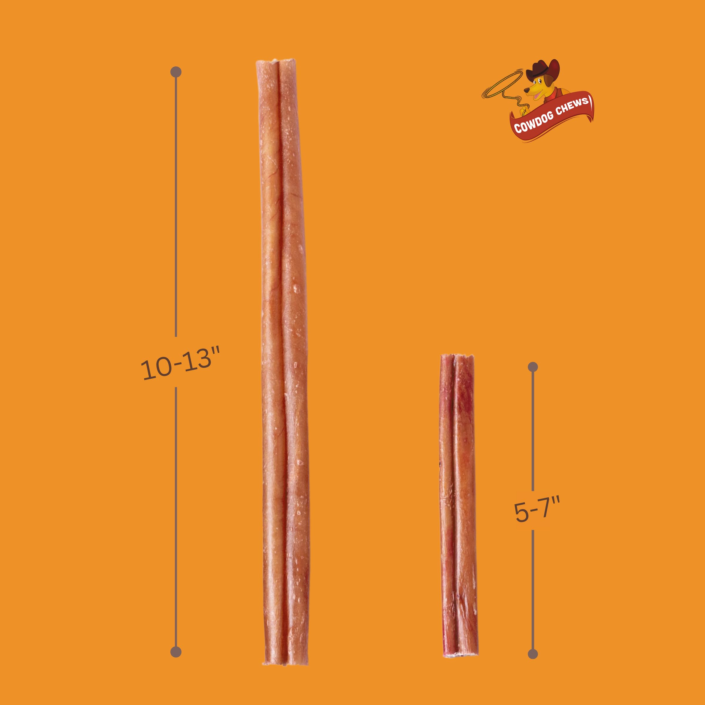 Cowdog Chews Bâton Bully Boeuf digestible, favorise une mastication sûre et durable.