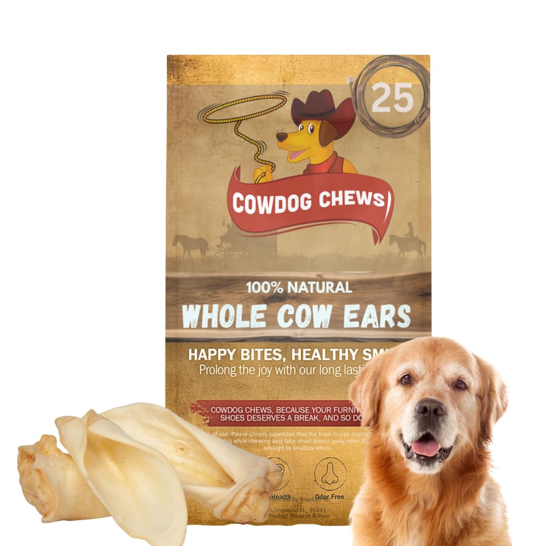 Cowdog Chews os de vache entier, mastication naturelle pour dents propres.