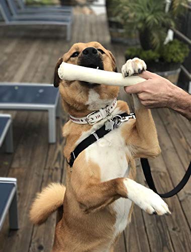Cowdog Chews: os sans odeur, maison plus agréable.