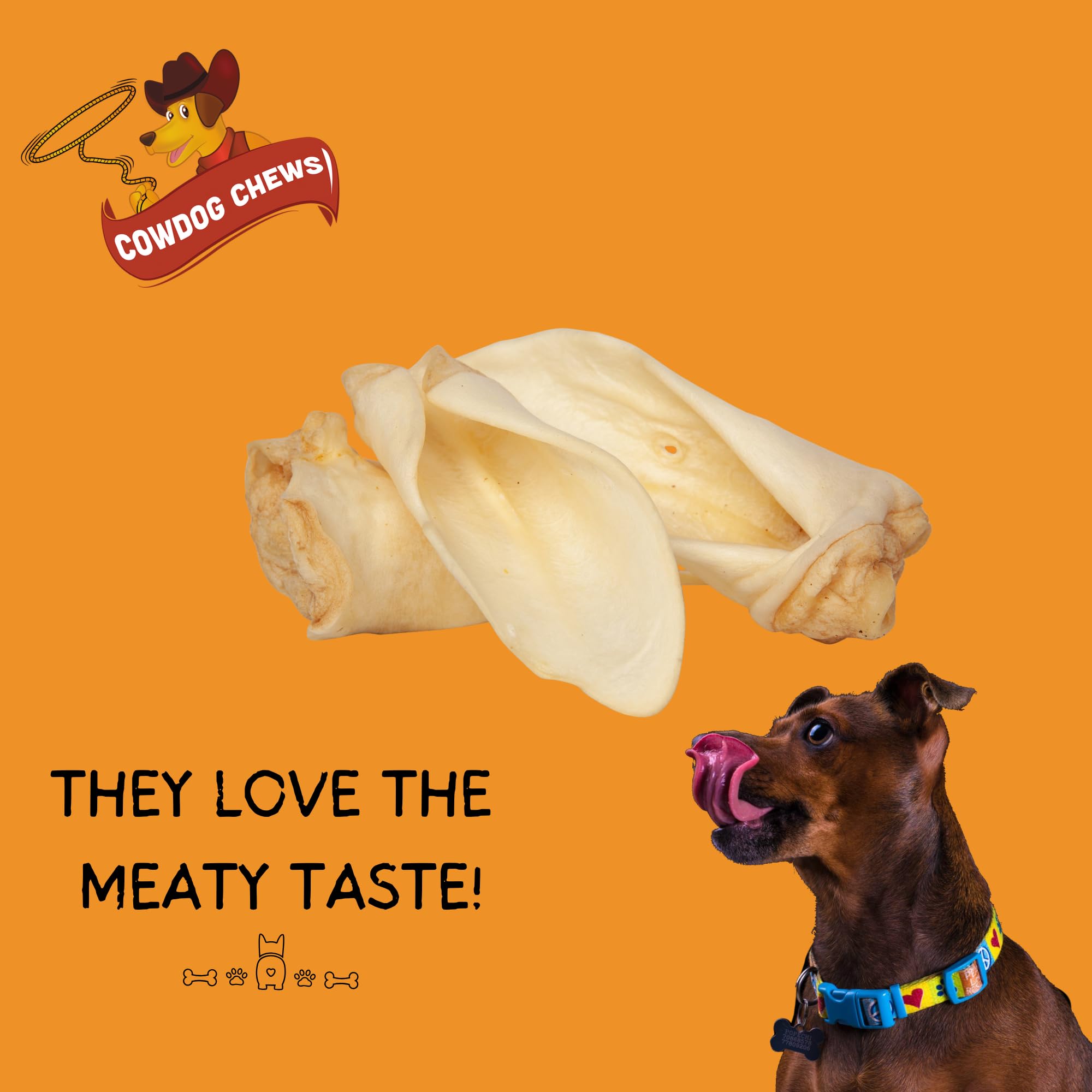 Cowdog Chews os de vache entier, protéines naturelles et faible teneur en gras pour une friandise nutritive.