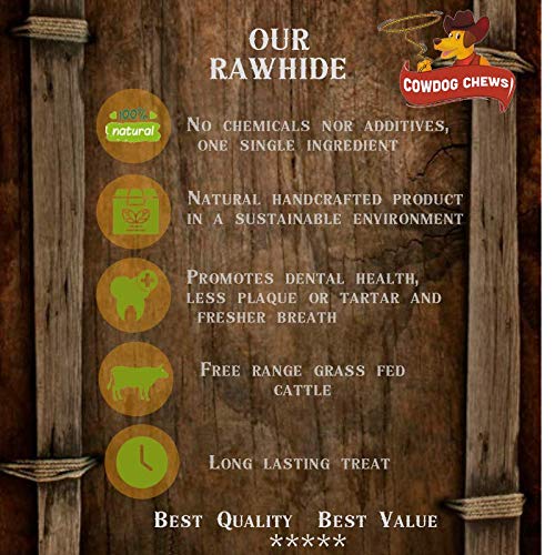 Récompense Cowdog Chews pour chien actif, moment de jeu et mastication