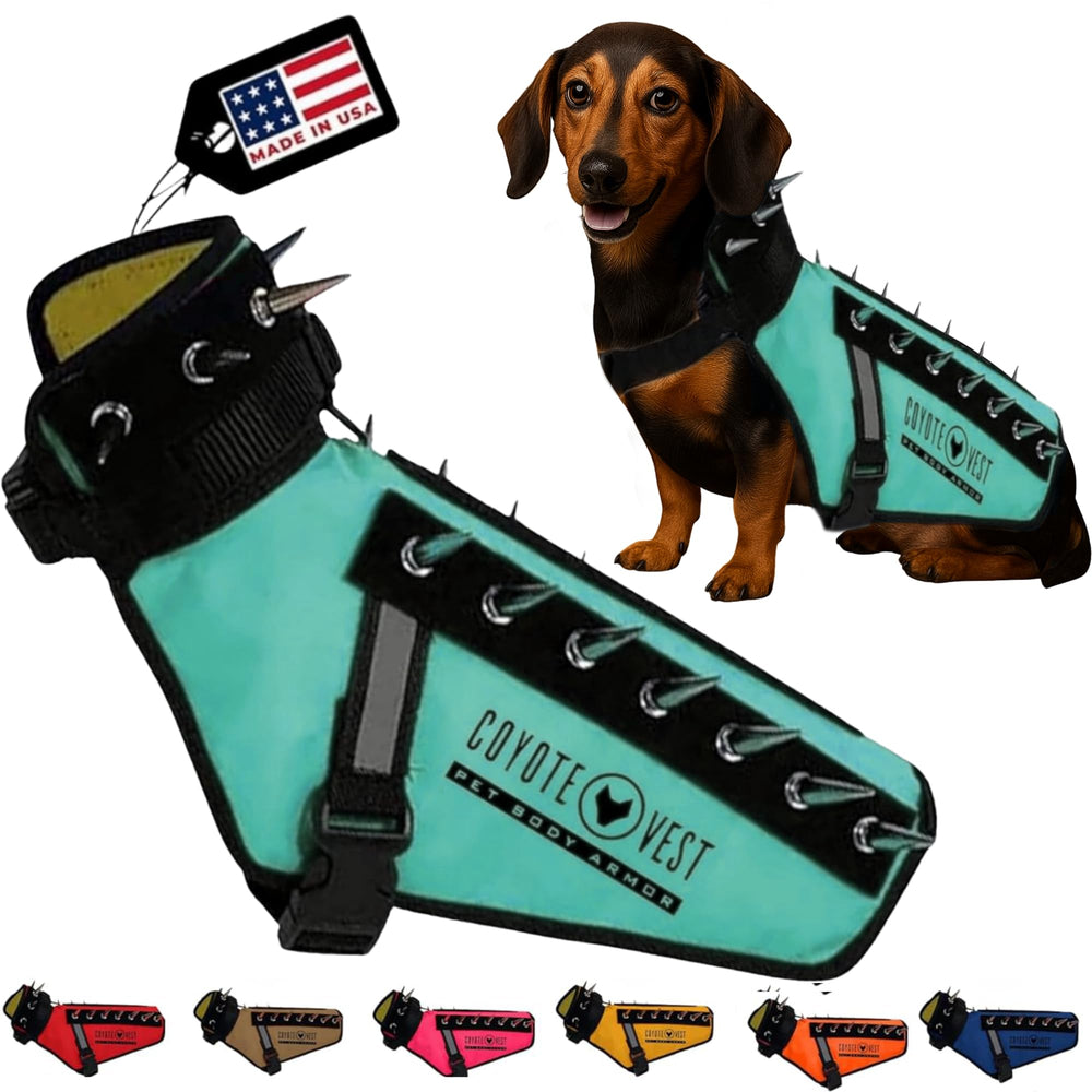 CoyoteVest gilet protection chien XXS turquoise, protège lors des promenades contre les attaques.