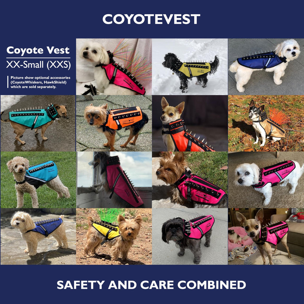 CoyoteVest guide-mesure-tailles XS, choix précis pour un ajustement sûr.