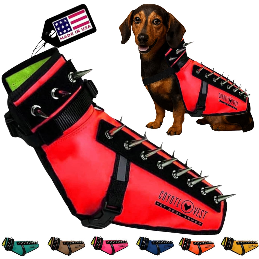 Harnais CoyoteVest avec spikes rouges pour promenade sécurisée.