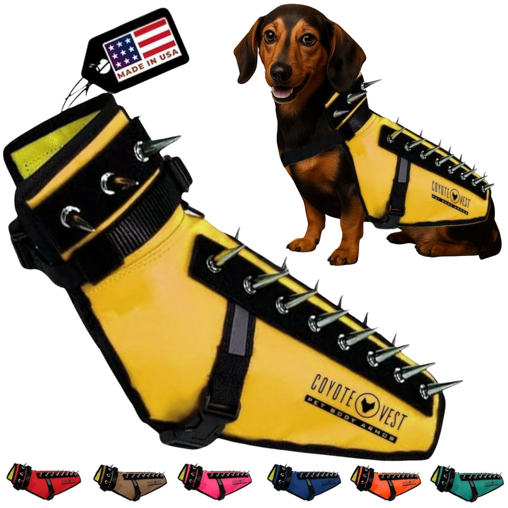 CoyoteVest harnais-protection pour chien, sécurité renforcée lors des promenades.