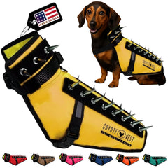 CoyoteVest harnais-protection pour chien, sécurité renforcée lors des promenades.