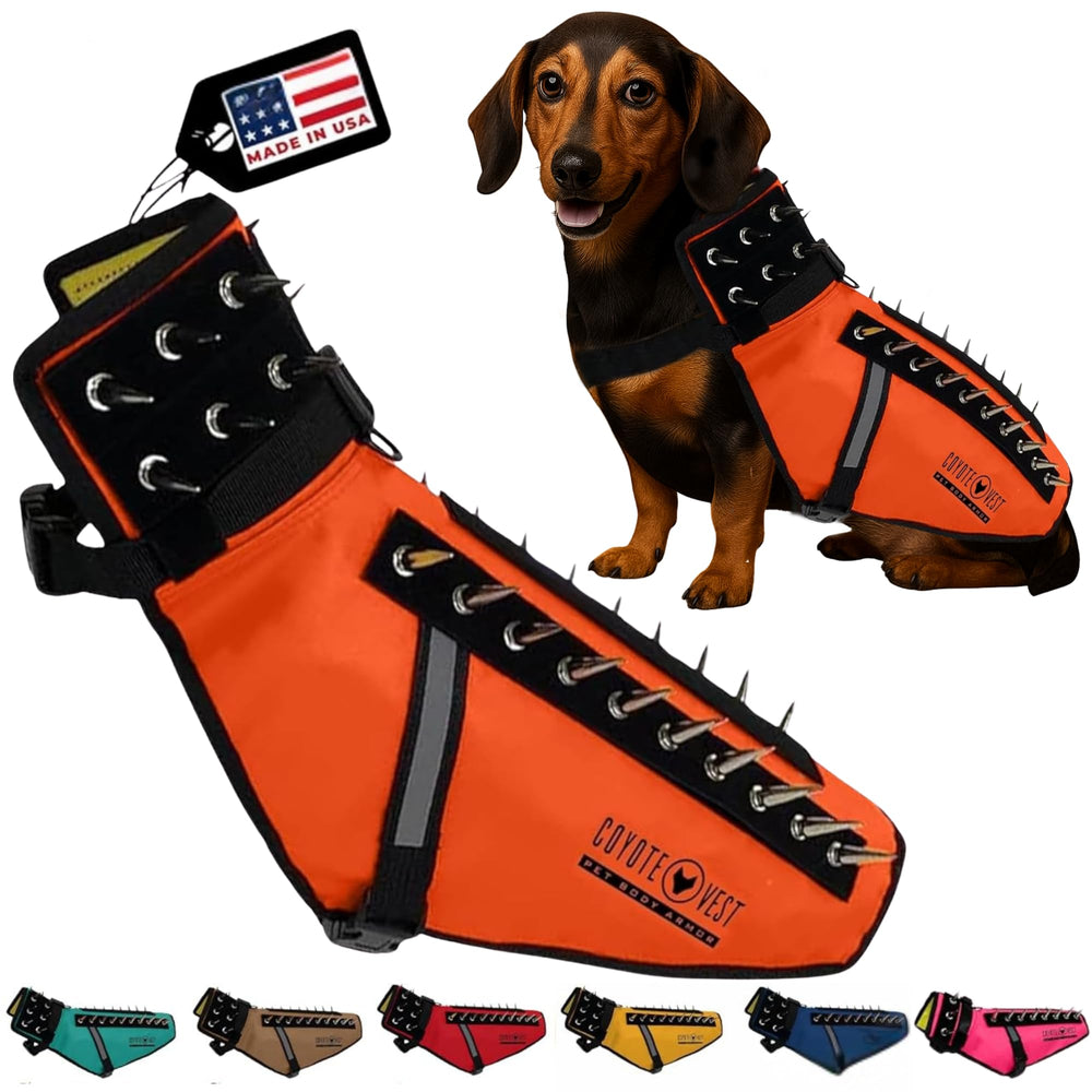 Harnais CoyoteVest pour chien offrant une protection renforcée lors des balades.