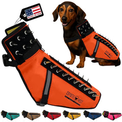Harnais CoyoteVest pour chien offrant une protection renforcée lors des balades.