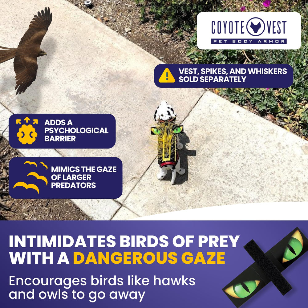 CoyoteVest HawkEyes: installation Velcro simple sur les gilets pour chiens.