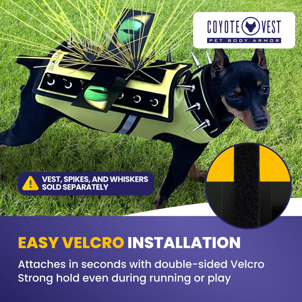CoyoteVest HawkEyes: protection efficace lors de balades, randonnées et camps.